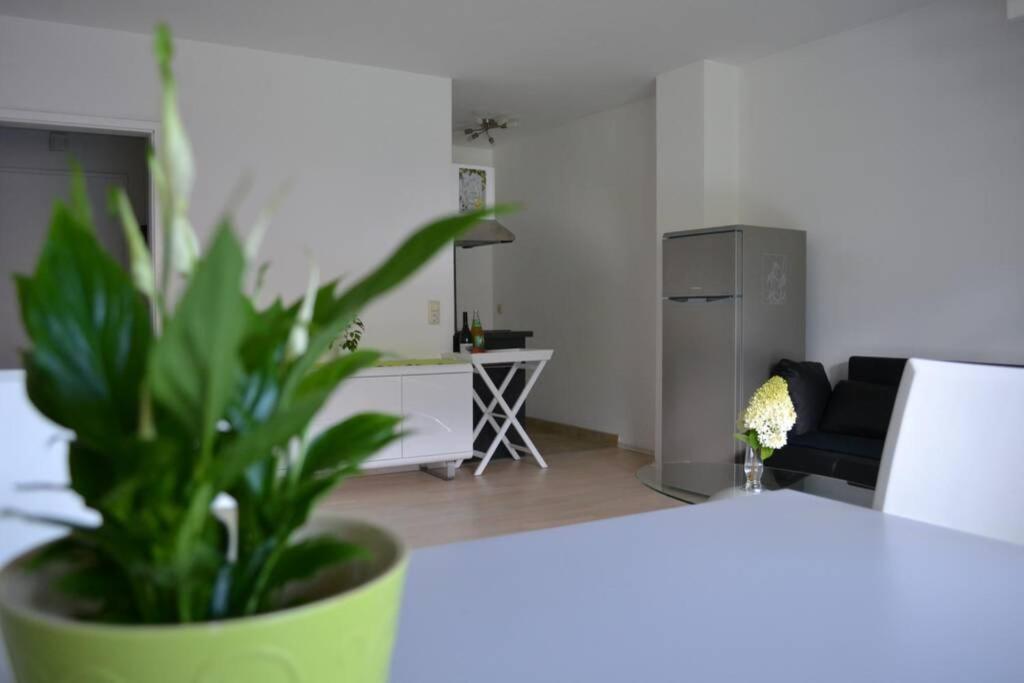Ferienwohnung Stimmer Grainau Exterior photo